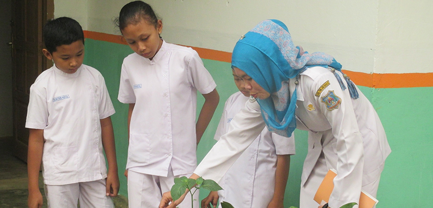 Dokter Kecil Pemantau Kesehatan Masyarakat Tanoto Foundation Dokter Kecil Pemantau Kesehatan Masyarakat Tanoto Foundation